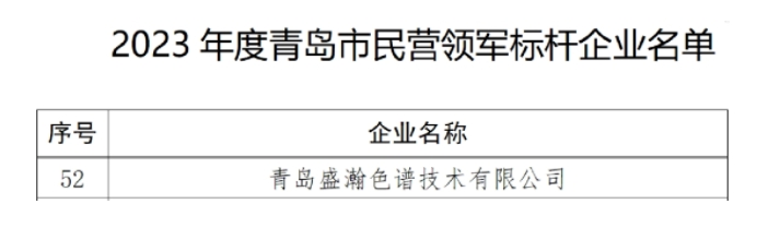 喜訊 | 盛瀚入選2023年度市民營領軍標桿企業(yè)名單